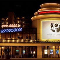 طراحی لوگو شرکت گیلدا تار کاروان