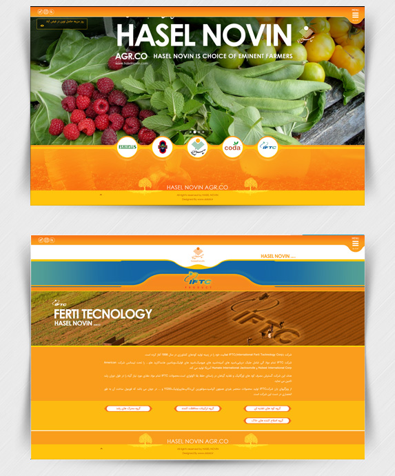 طراحی سایت شرکت حاصل نوین